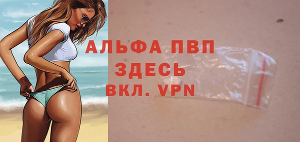 ПСИЛОЦИБИНОВЫЕ ГРИБЫ Осташков
