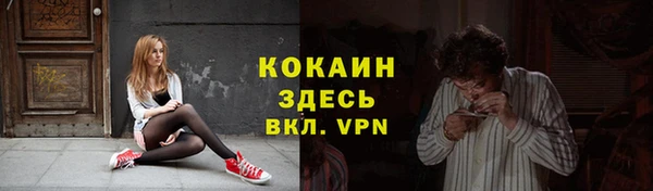 ПСИЛОЦИБИНОВЫЕ ГРИБЫ Осташков