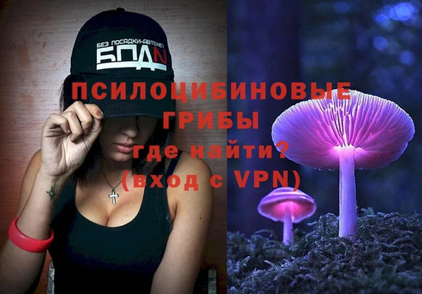 прущий лед Няндома